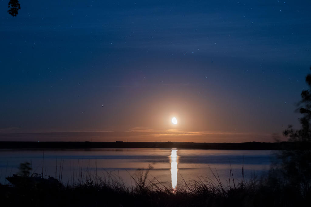 D75_6343.jpg