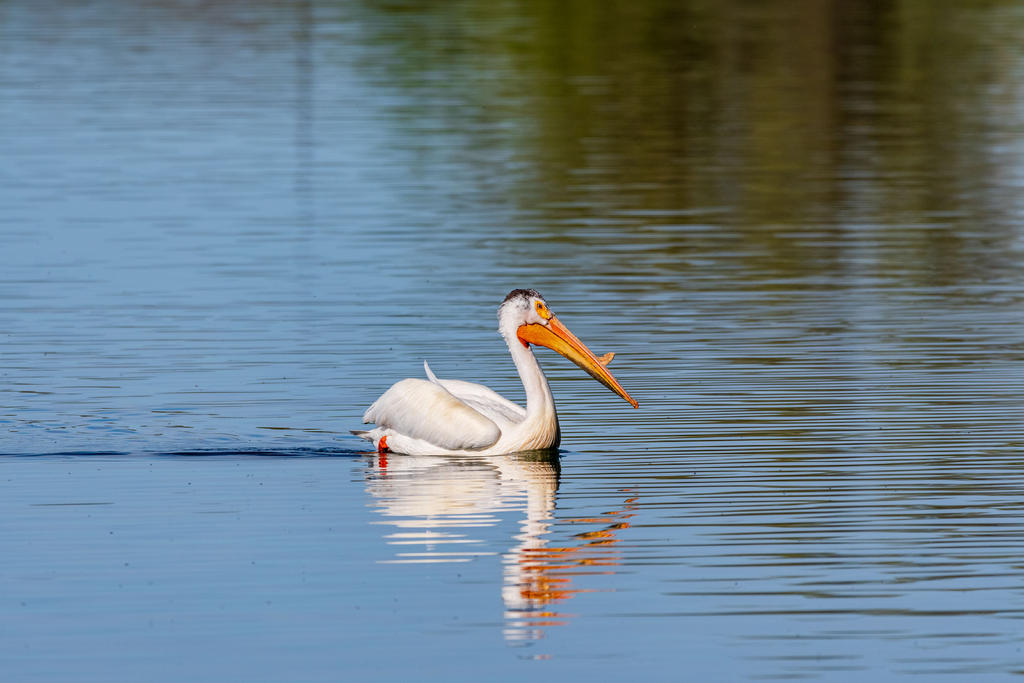 D75_6639.jpg