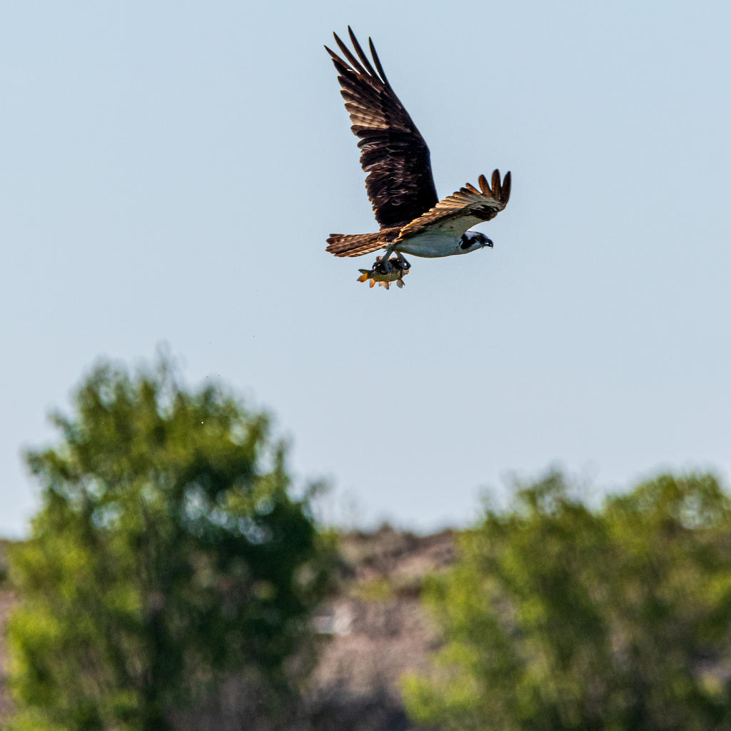D75_6751.jpg