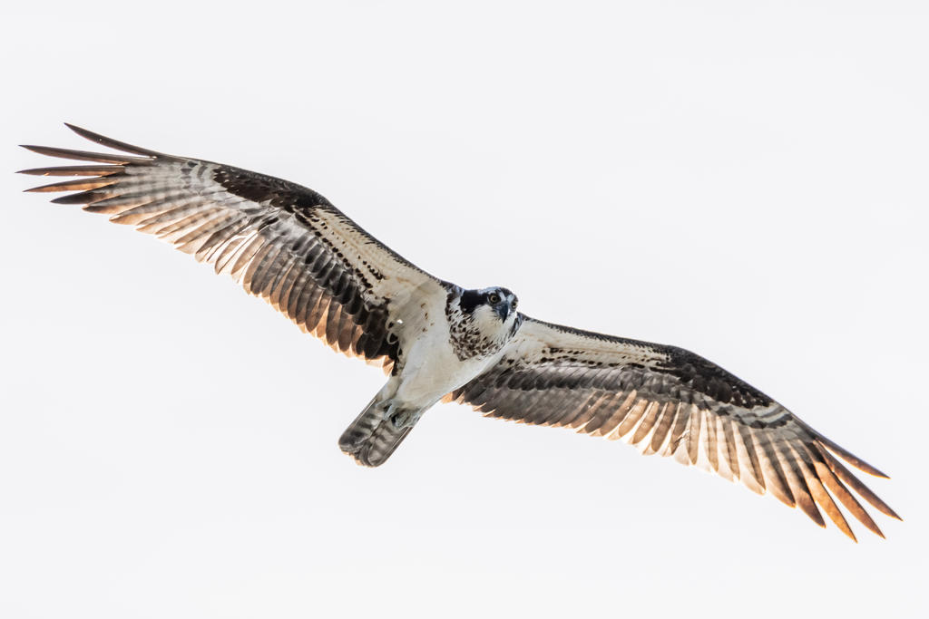 D75_6900.jpg