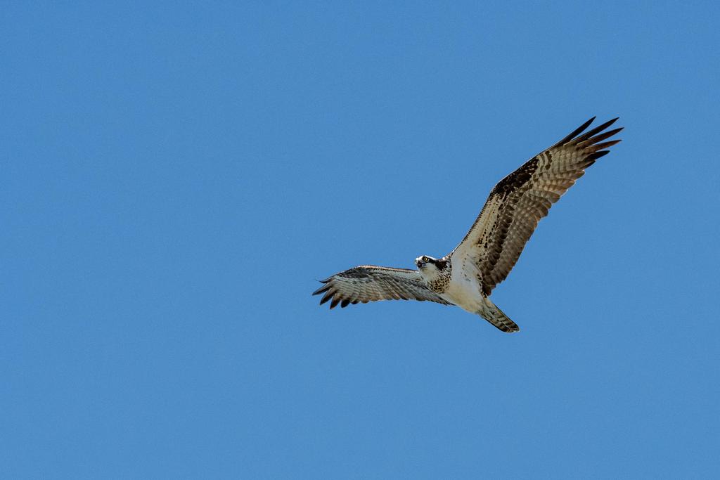 D75_6912.jpg
