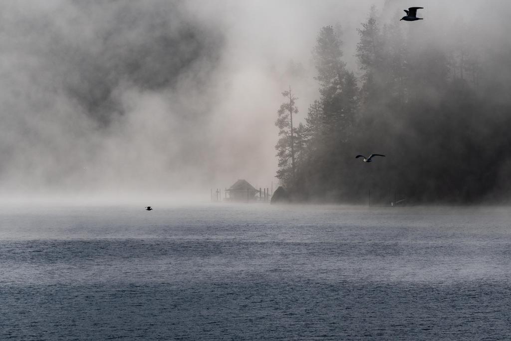 D75_7987.jpg