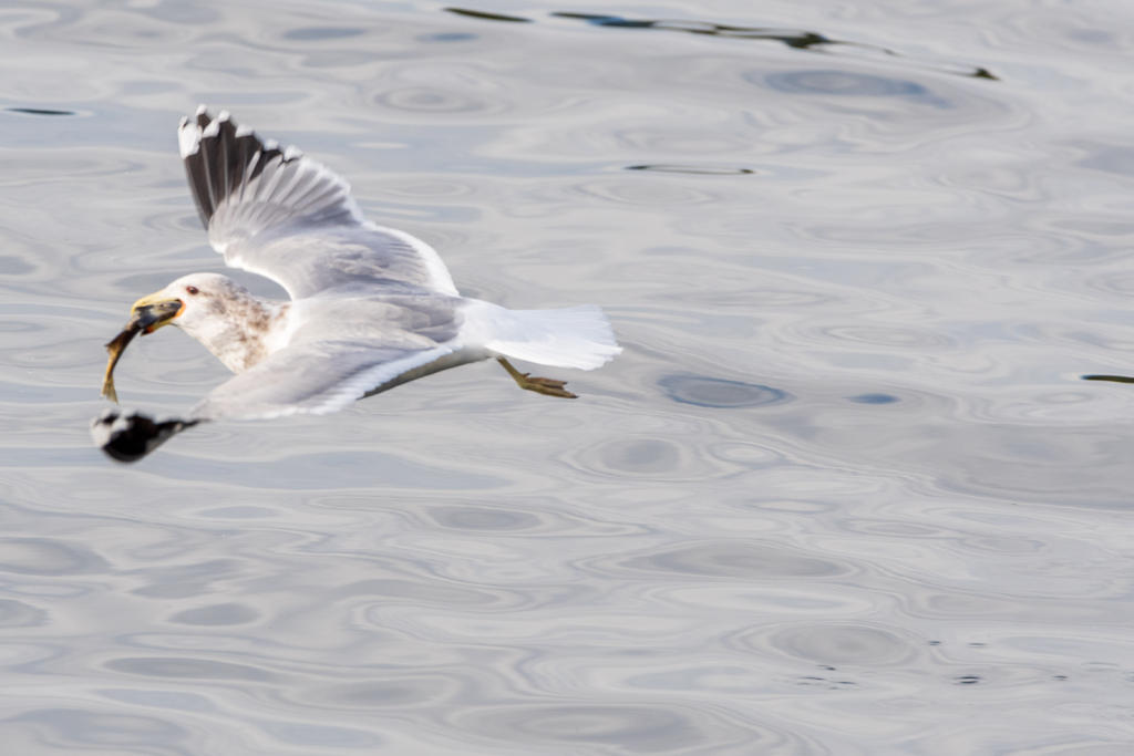 D75_9295.jpg