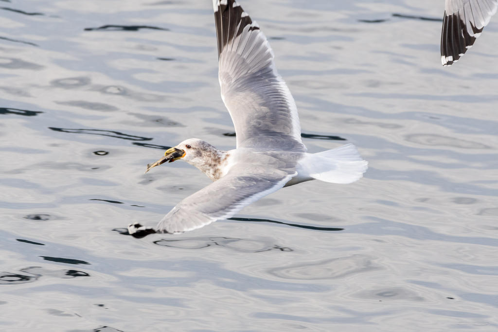 D75_9299.jpg