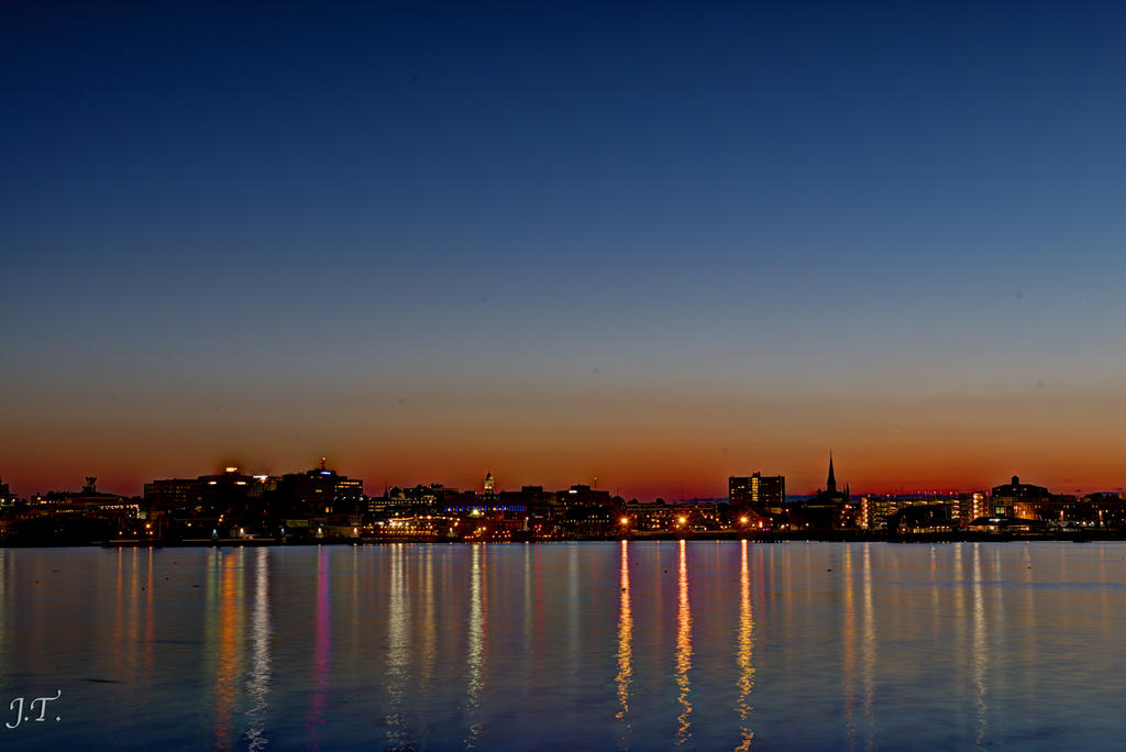 D800 Bug Night 24-35 HD2c.jpg