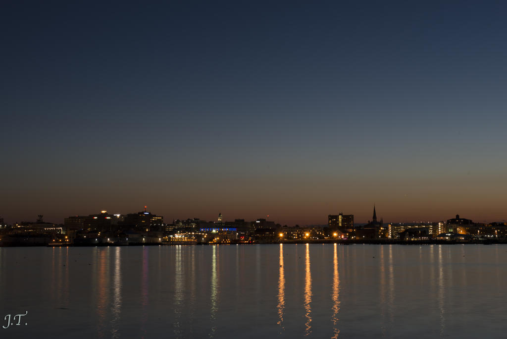 D800 Bug Night_044.jpg