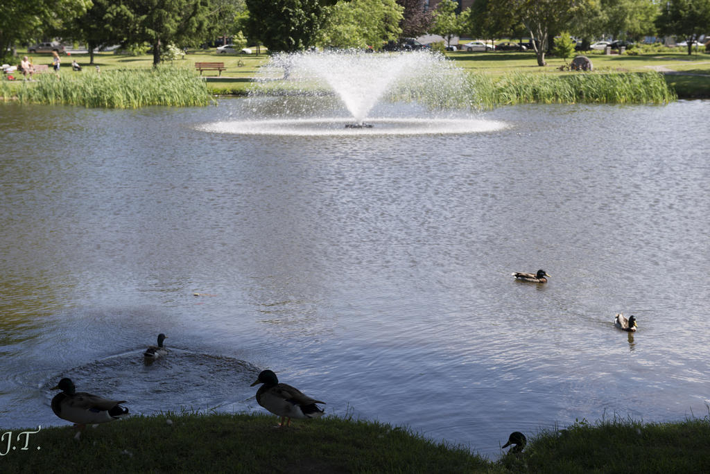 D800 Cape Park_070.jpg