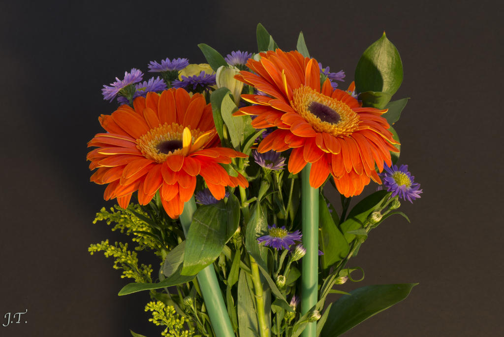 D800 Still #2a_010.jpg
