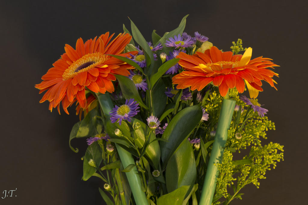 D800 Still #2a_017.jpg