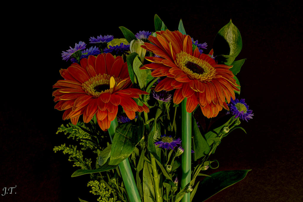 D800 Still Life-Flowers #2a HD1.jpg