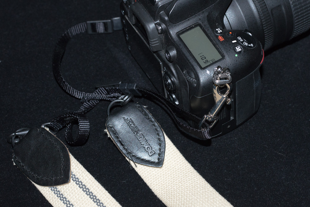 D80_8811.jpg