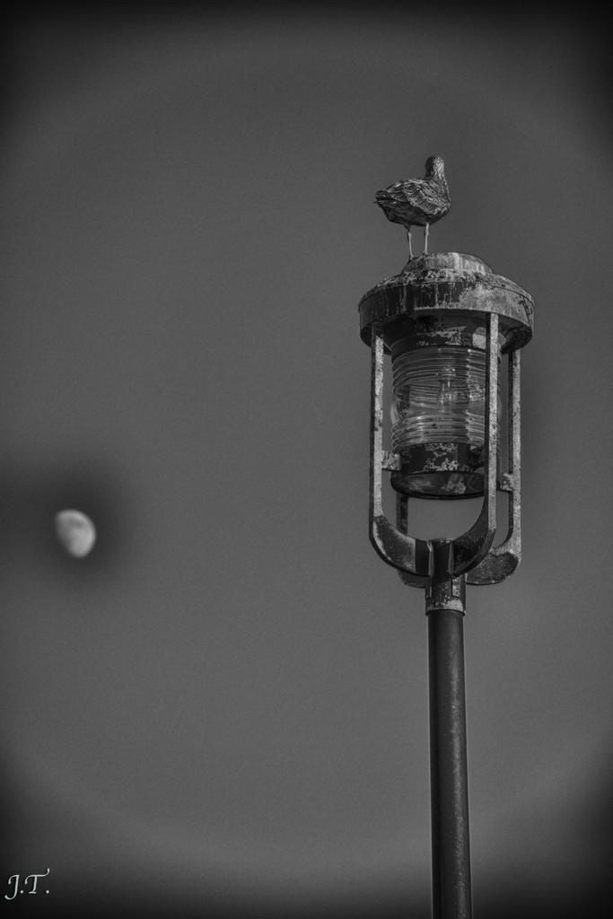 D810#3 E. Prom B&W HD5c.jpg