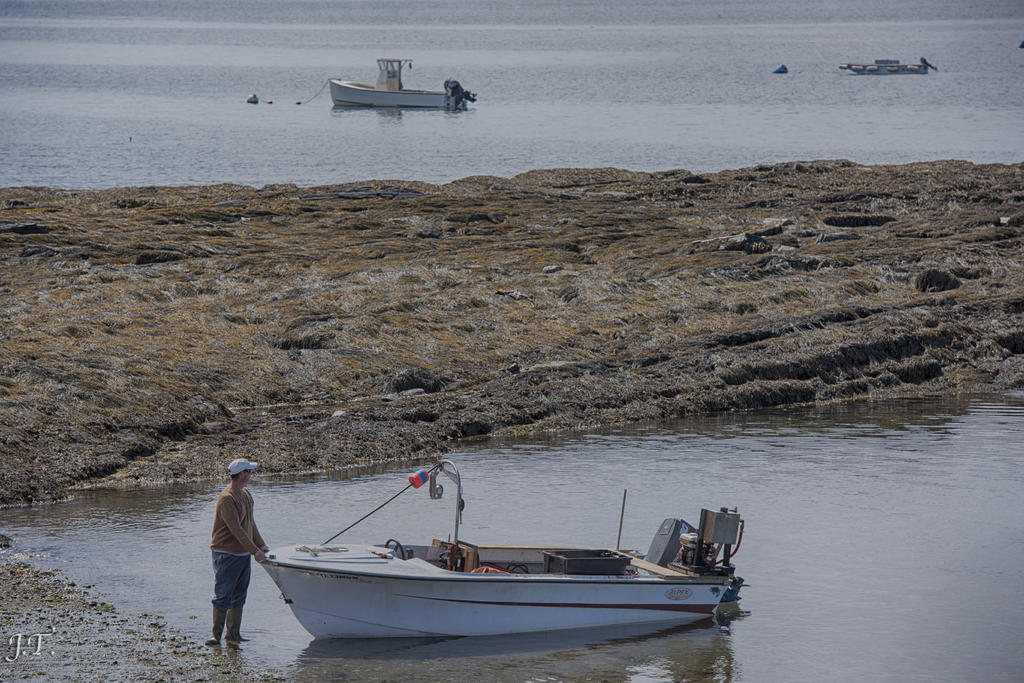D810#3 Kettle Cove #5 HD1.jpg