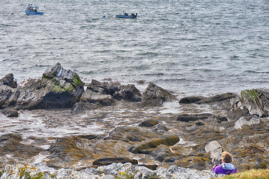 D810#3 Kettle Cove #6 105mmHD2a.jpg