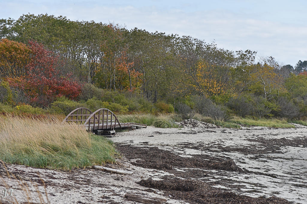 D810#3 Kettle Cove #6 105mmHD3c.jpg