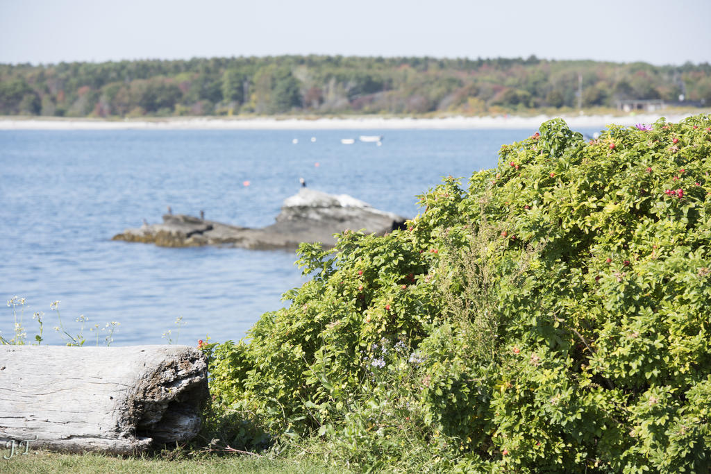 D810#3 Ktl&Lghth_005.jpg