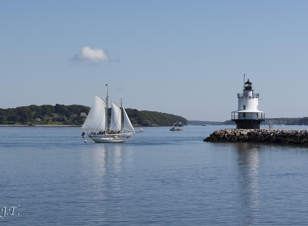 D810#3 Spring Pt_054.jpg