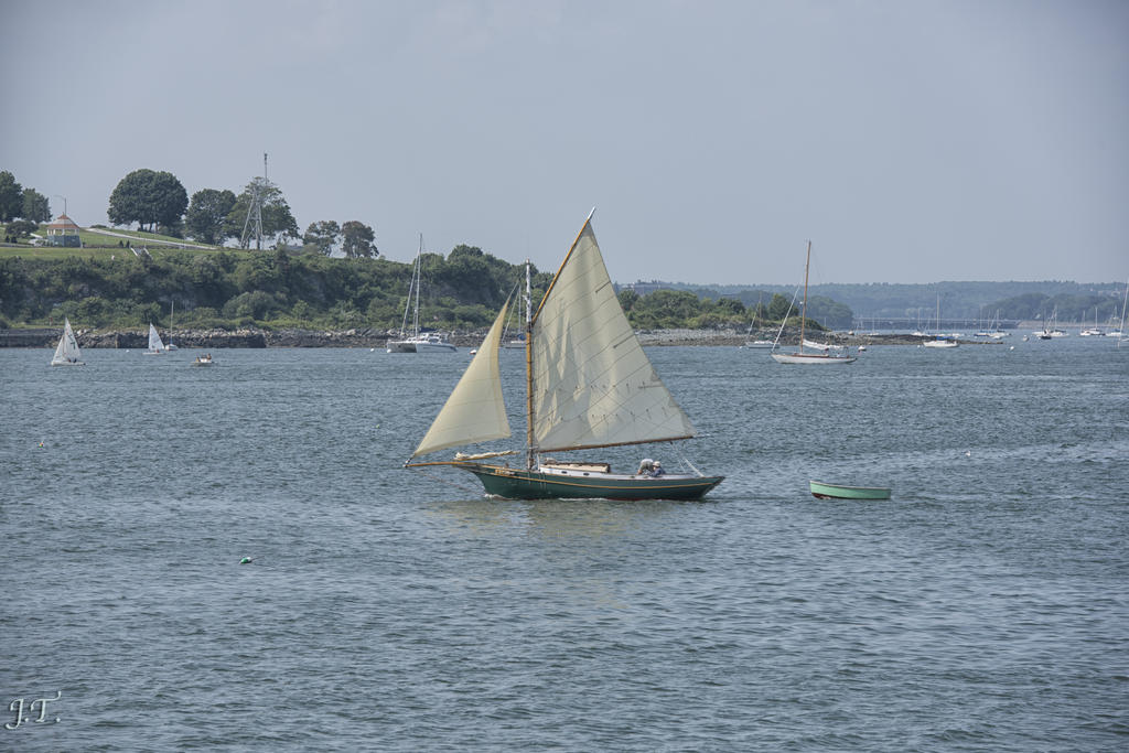 D810