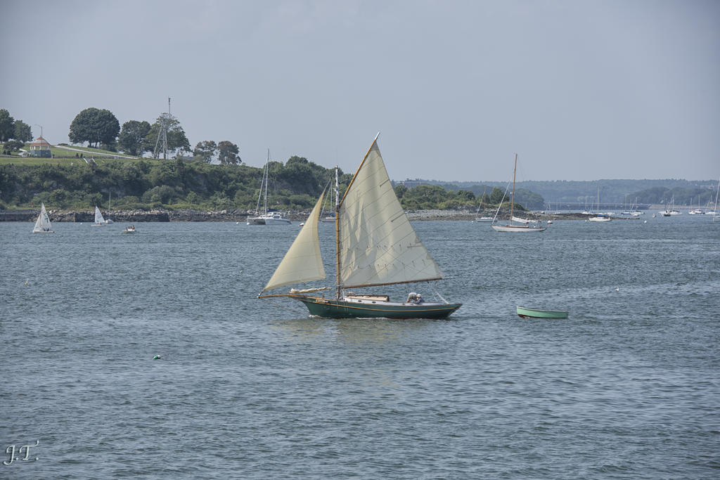 D810 Cape #1 HD3.jpg