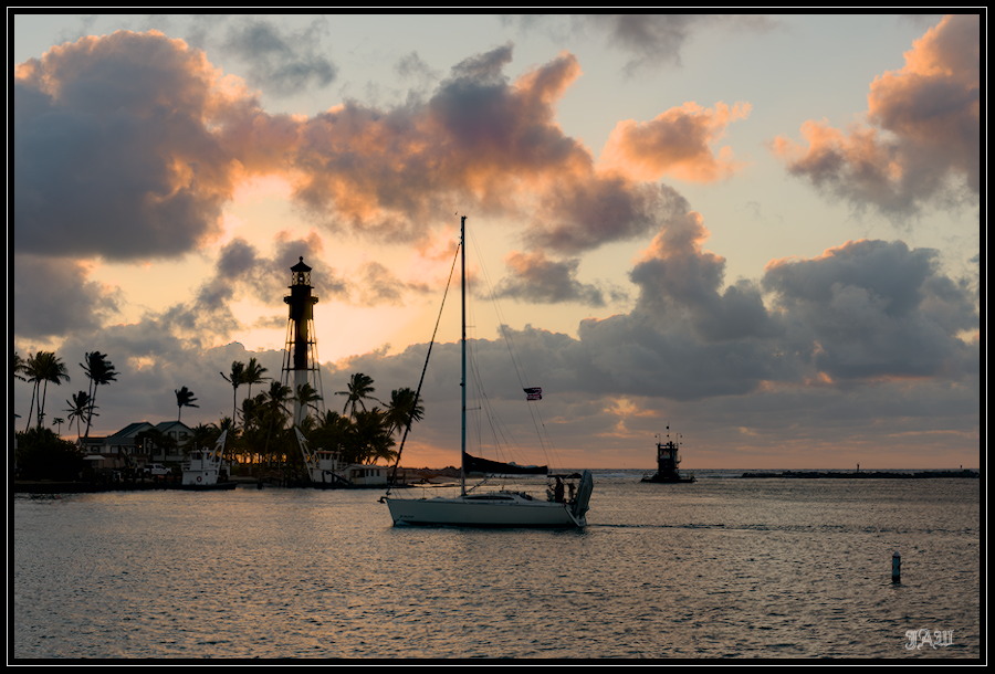 D81_0077.jpg