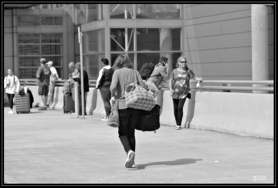 D81_0262_BW.jpg