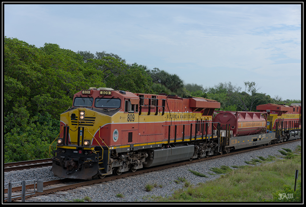 D81_0741.jpg