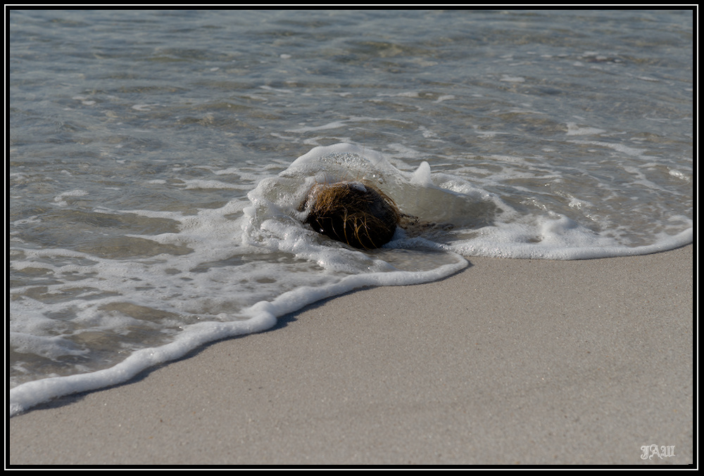 D81_0769.jpg