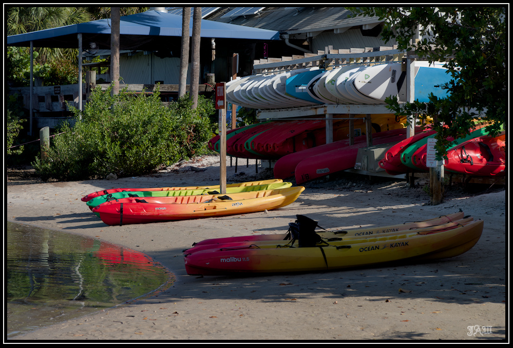 D81_0788.jpg