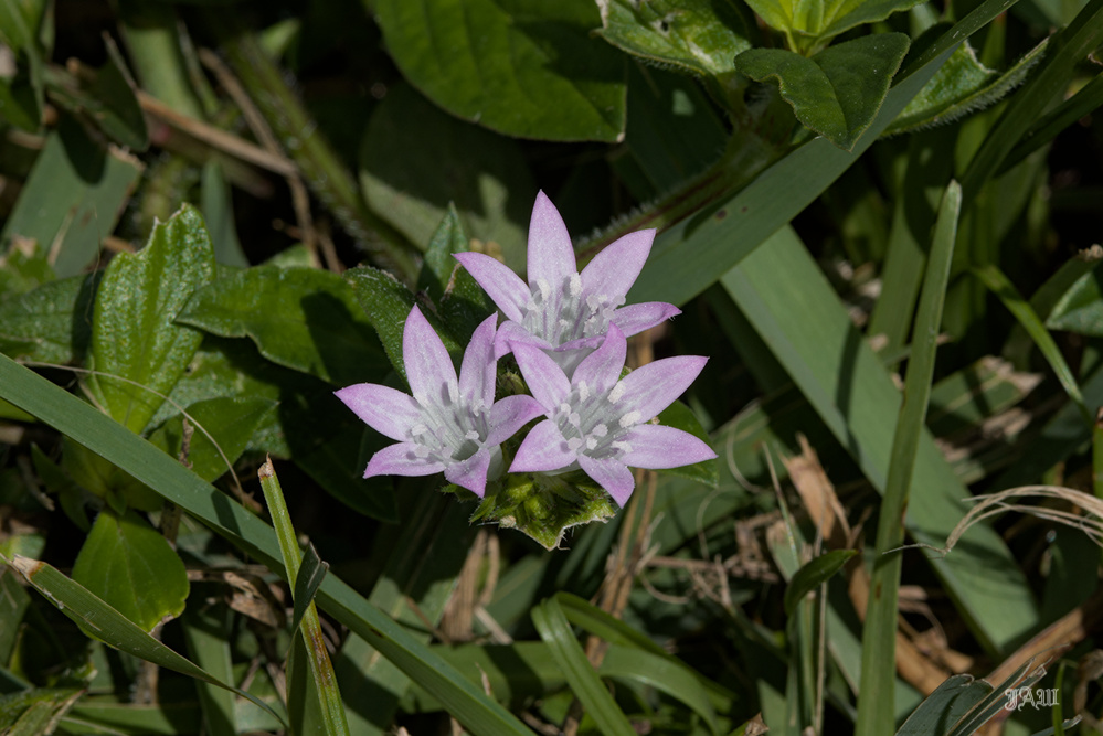 D81_1049 .jpg