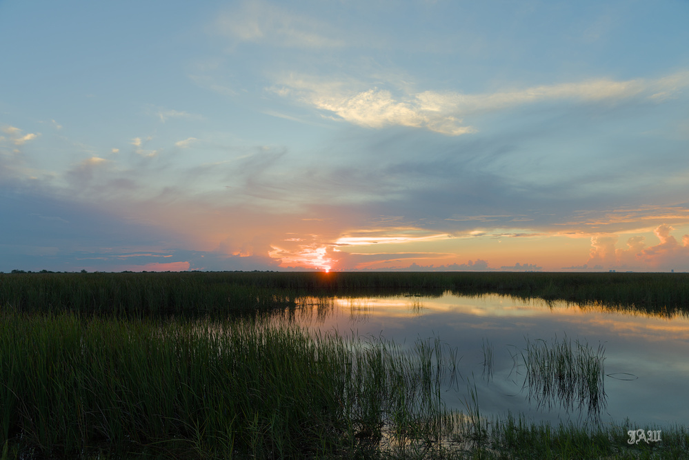 D81_1050.jpg