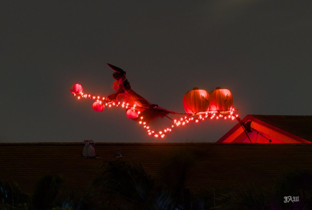 D81_1162.jpg