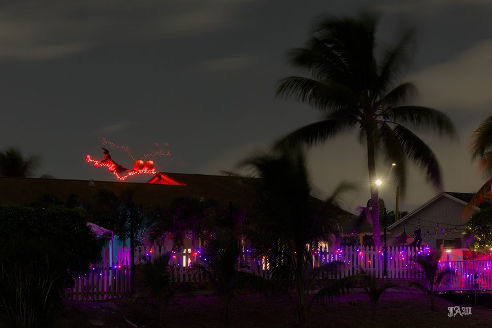 D81_1163.jpg