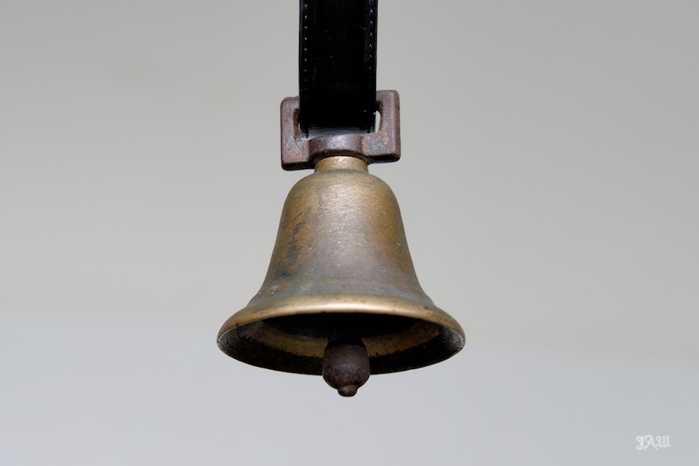 D81_1262.jpg