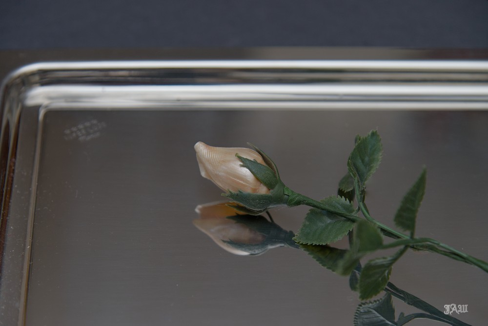 D81_1284.jpg