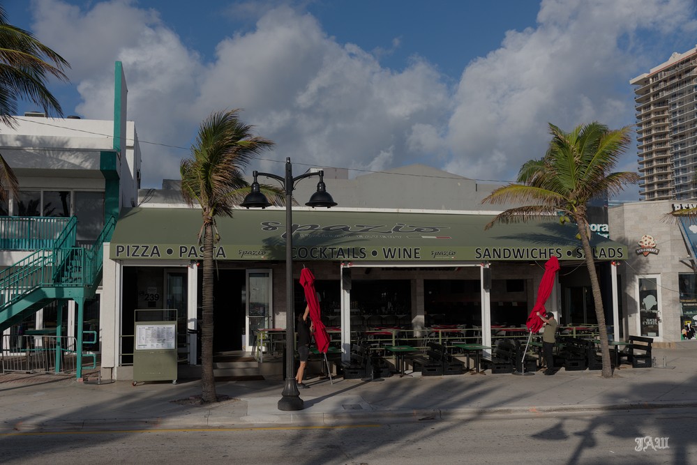 D81_1342.jpg