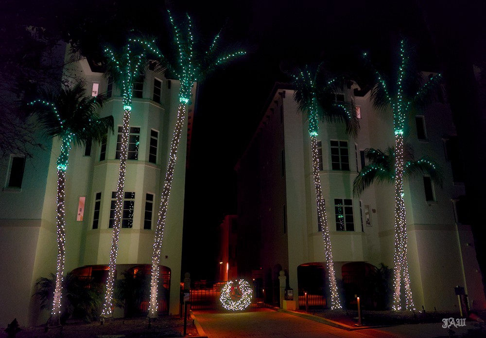 D81_1379_05.jpg