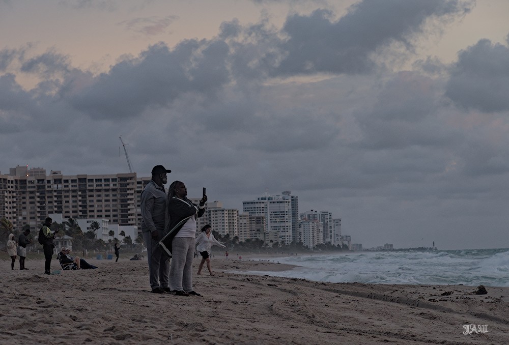 D81_1446.jpg