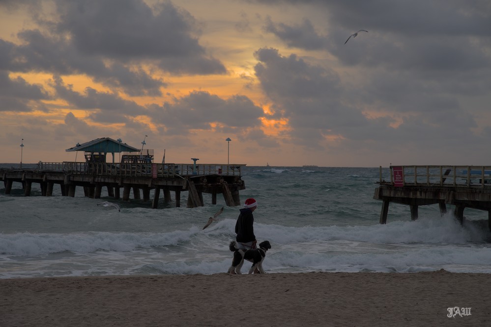 D81_1464.jpg