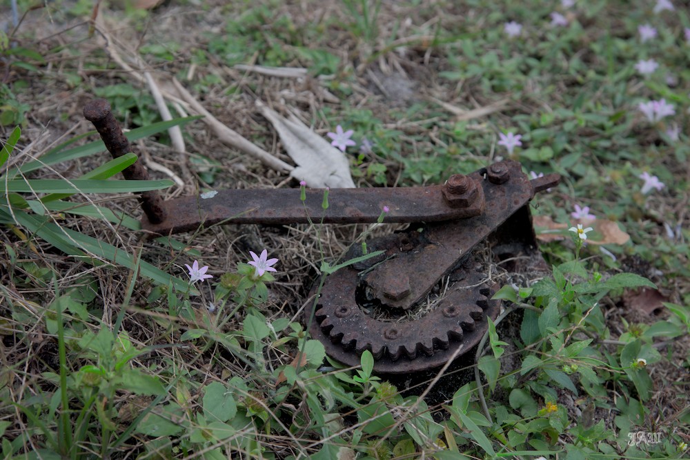 D81_1803_01.jpg