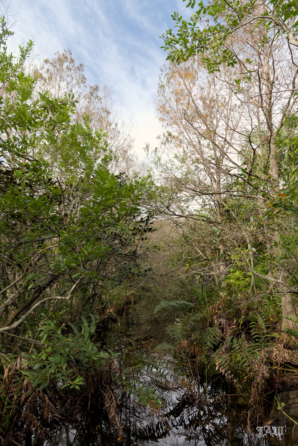 D81_1808.jpg