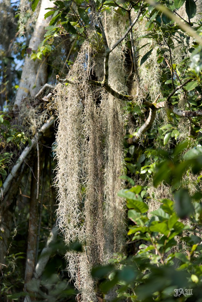 D81_1874.jpg