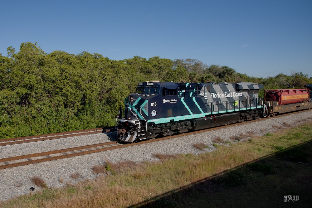 D81_1898.jpg