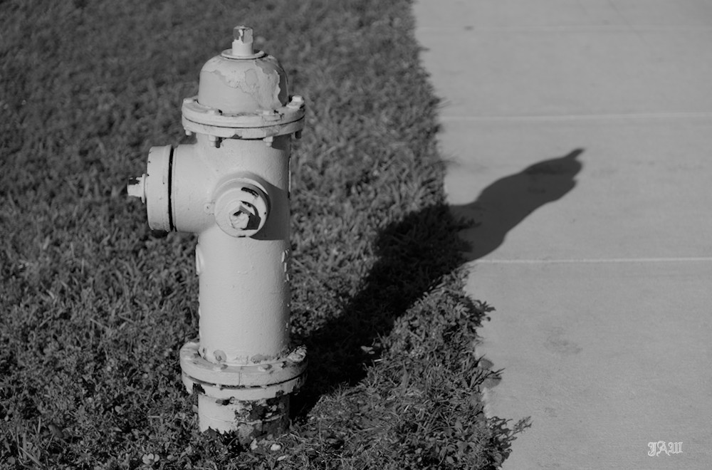 D81_2030.jpg