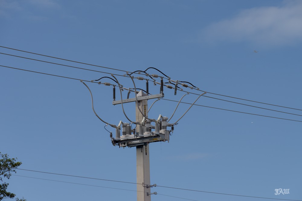 D81_2047.jpg