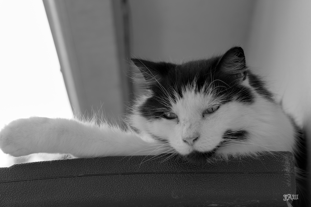 D81_2137.jpg