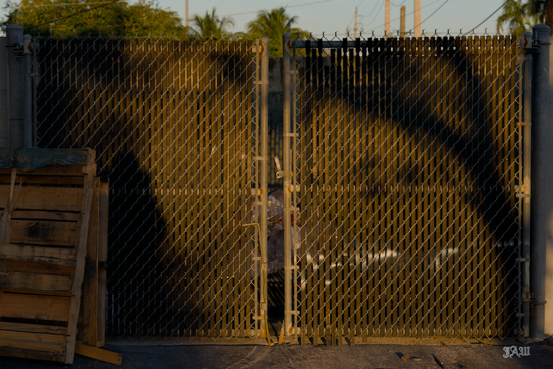 D81_2304.jpg