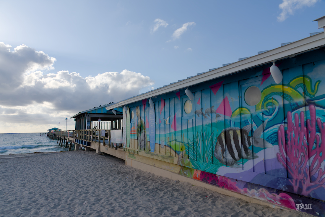D81_2546.jpg