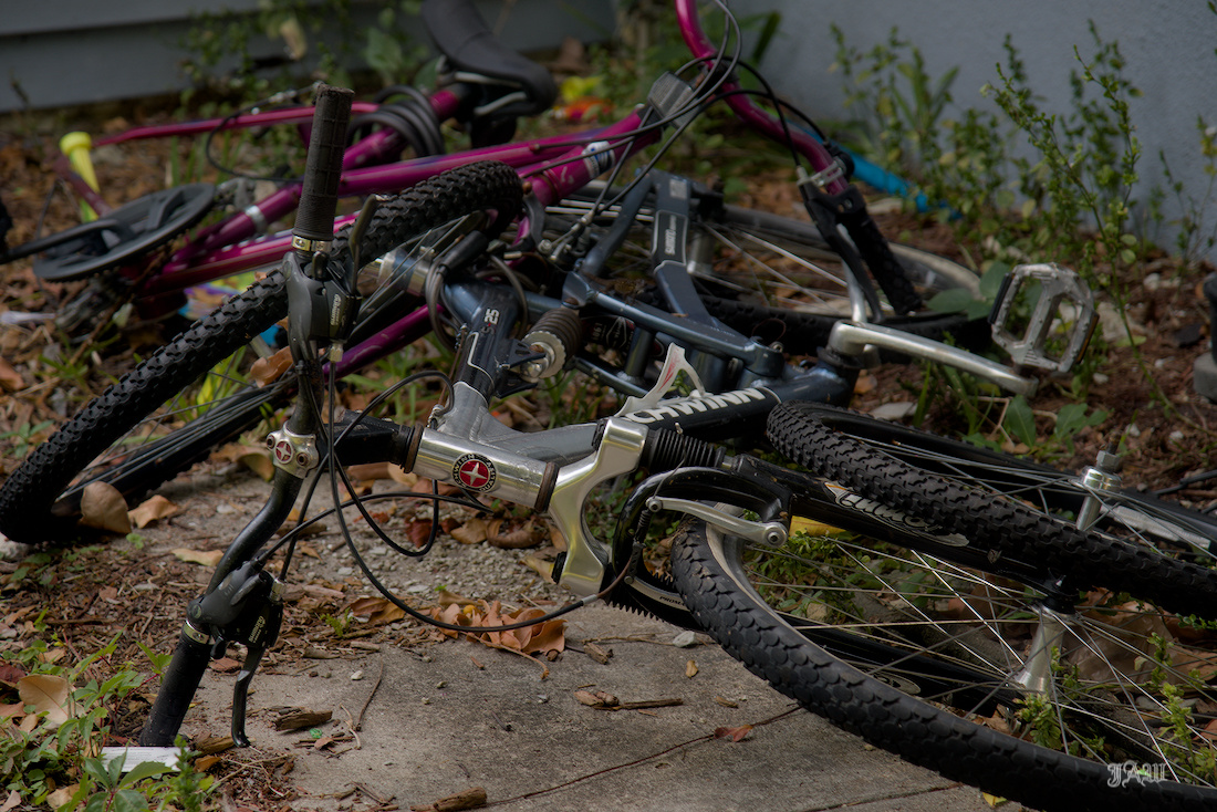 D81_2564.jpg