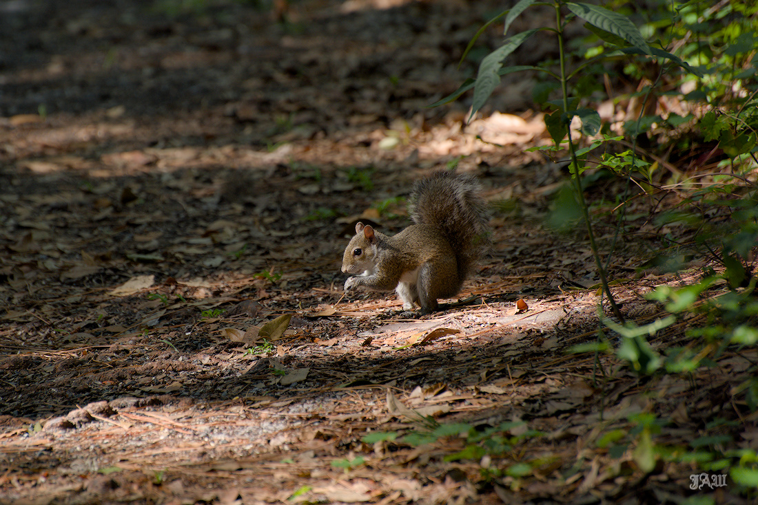 D81_2609.jpg