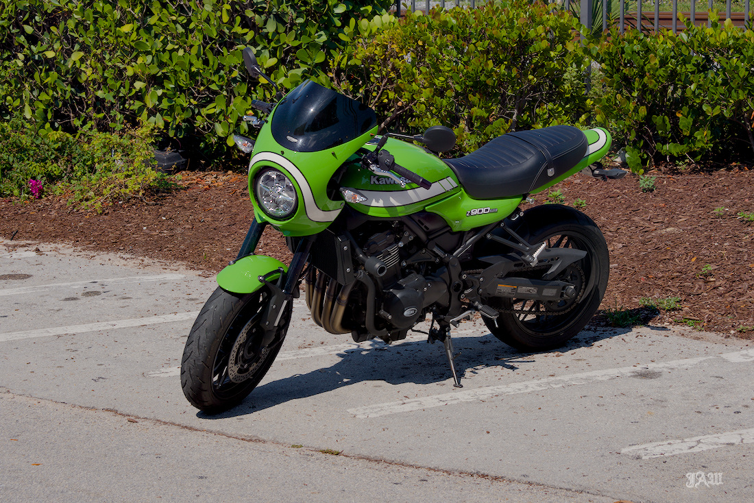 D81_2673.jpg